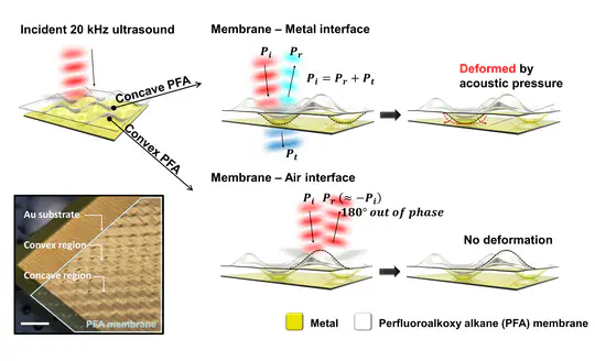 Acoustic Impedance-Tailored High-Performance Ultrasound-Driven Triboelectric Nanogenerators