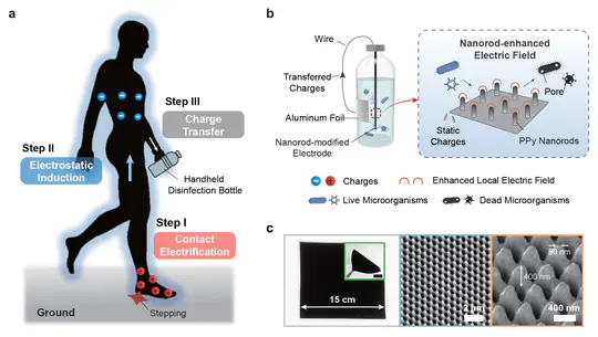 Body-coupled energy enabling unrestricted microbial disinfection using polymer nanorods