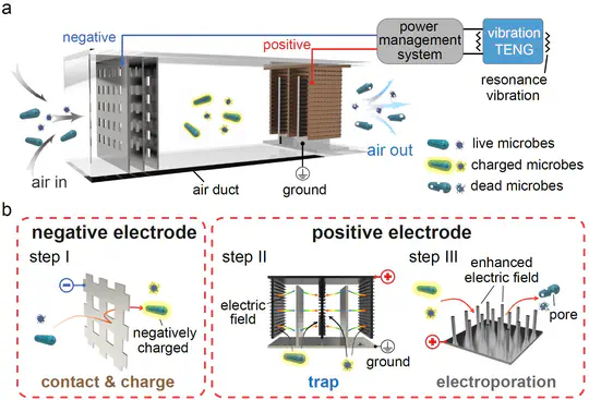 Triboelectrification induced self-powered microbial disinfection using nanowire-enhanced localized electric field