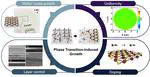 (Topic 3) 2D electronics for unltrasound sensing